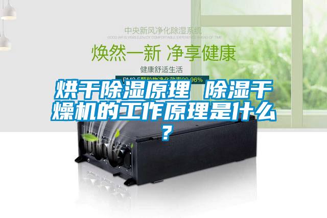 国产精品欧美激情视频 烘干除湿原理 除湿干燥机的工作原理是什么？