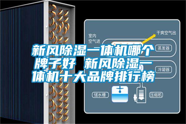 国产精品三级在线观看 新风除湿一体机哪个牌子好 新风除湿一体机十大品牌排行榜