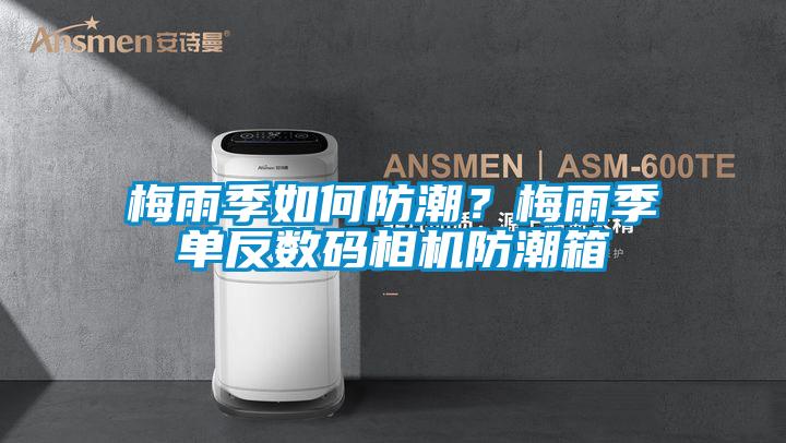 国产精品欧美激情视频 梅雨季如何防潮？梅雨季单反数码相机防潮箱