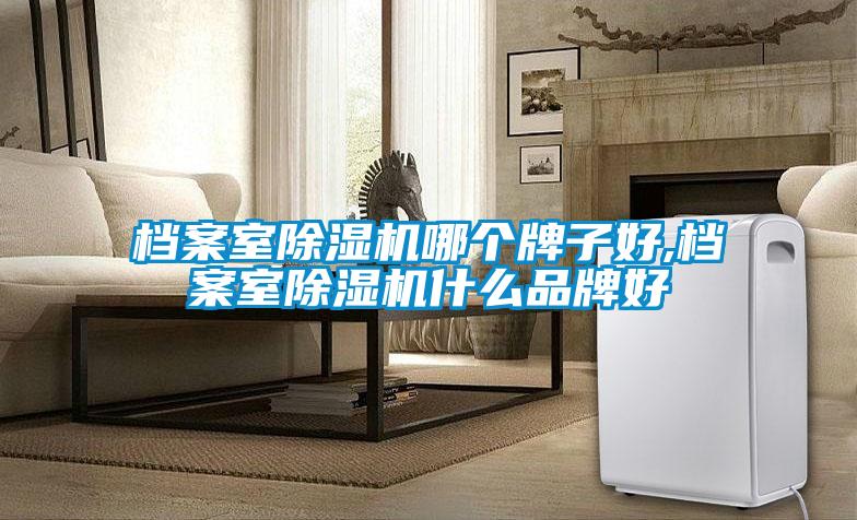 国产精品探花在线观看 档案室除湿机哪个牌子好,档案室除湿机什么品牌好