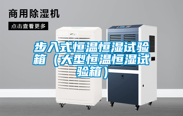 国产精品探花在线观看 步入式恒温恒湿试验箱（大型恒温恒湿试验箱）