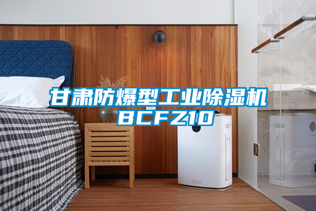 国产精品探花在线观看 甘肃防爆型工业除湿机 BCFZ10