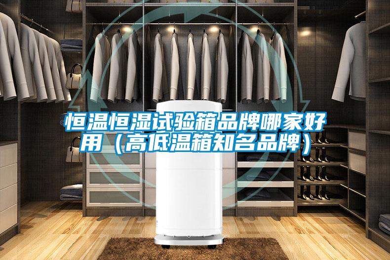 国产精品欧美激情视频 恒温恒湿试验箱品牌哪家好用（高低温箱知名品牌）