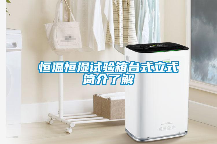 国产精品欧美激情视频 恒温恒湿试验箱台式立式简介了解