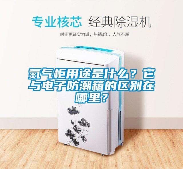 国产精品三级在线观看 氮气柜用途是什么？它与电子防潮箱的区别在哪里？
