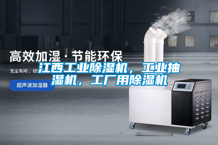 国产精品三级在线观看 江西工业除湿机，工业抽湿机，工厂用除湿机