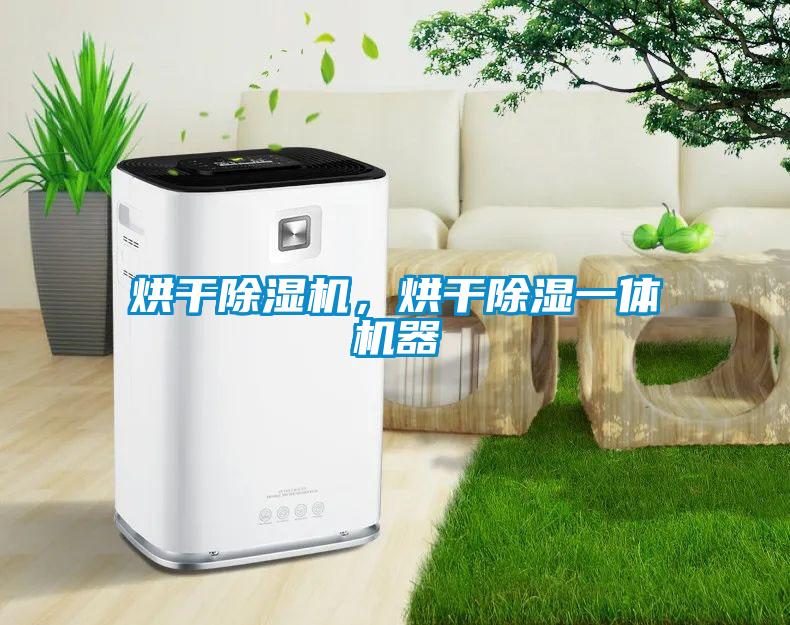 国产精品三级在线观看 烘干除湿机，烘干除湿一体机器