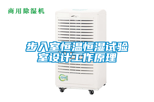 国产精品探花在线观看 步入室恒温恒湿试验室设计工作原理