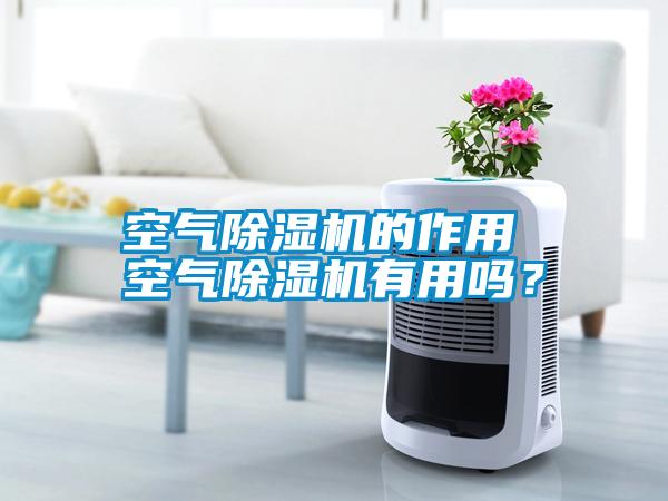 国产精品欧美激情视频 空气除湿机的作用 空气除湿机有用吗？