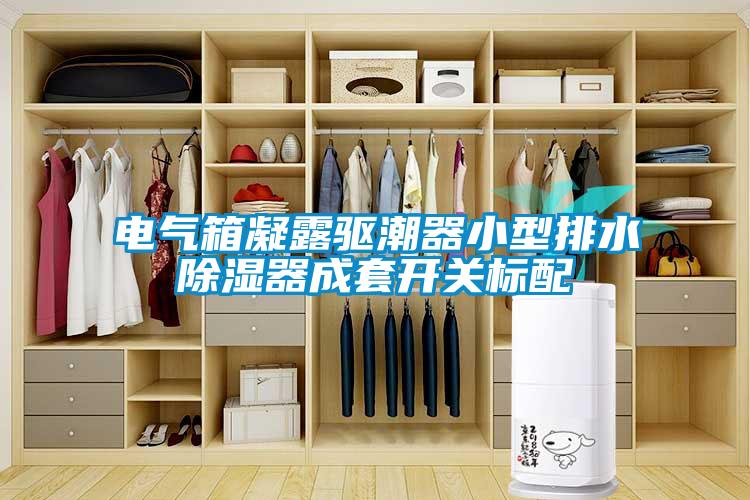 国产精品探花在线观看 电气箱凝露驱潮器小型排水除湿器成套开关标配
