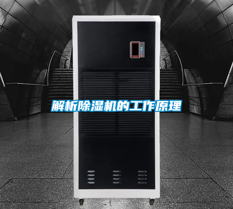 国产精品欧美激情视频 解析除湿机的工作原理