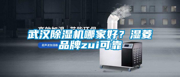 国产精品三级在线观看 武汉除湿机哪家好？湿菱品牌zui可靠