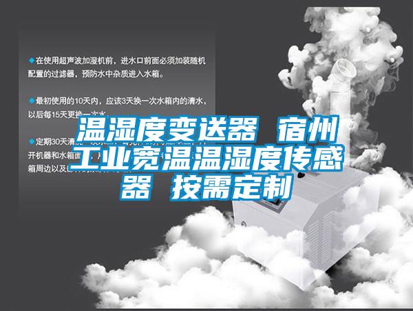 国产精品三级在线观看 温湿度变送器 宿州工业宽温温湿度传感器 按需定制
