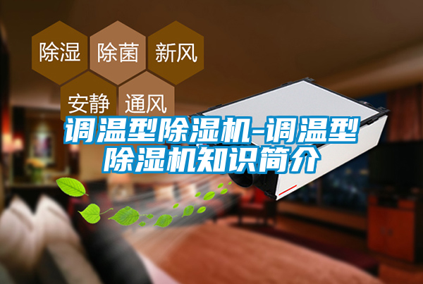 国产精品欧美激情视频 调温型除湿机-调温型除湿机知识简介