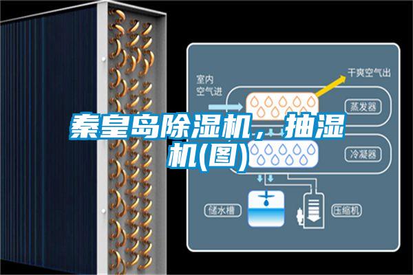 国产精品三级在线观看 秦皇岛除湿机，抽湿机(图)