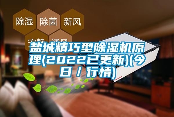 国产精品三级在线观看 盐城精巧型除湿机原理(2022已更新)(今日／行情)