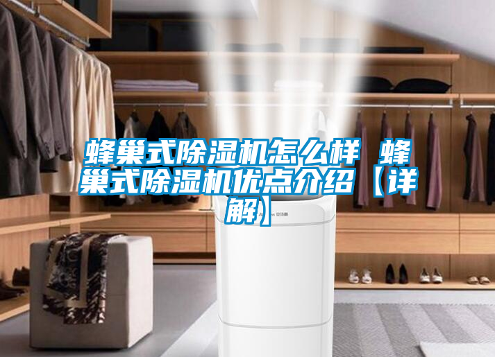 国产精品三级在线观看 蜂巢式除湿机怎么样 蜂巢式除湿机优点介绍【详解】