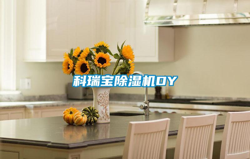 国产精品探花在线观看 科瑞宝除湿机DY