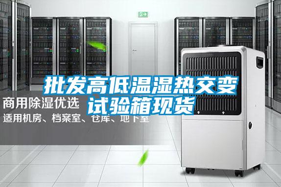 国产精品欧美激情视频 批发高低温湿热交变试验箱现货