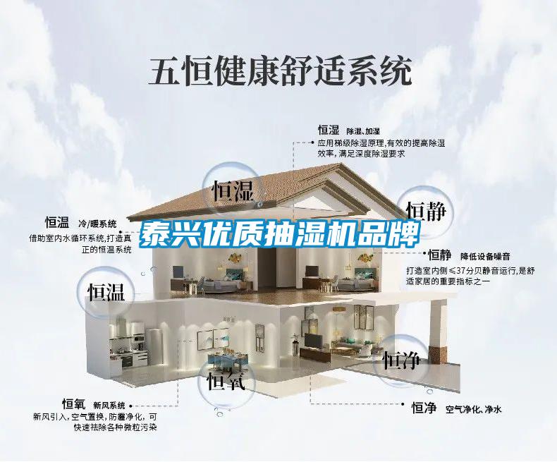 国产精品探花在线观看 泰兴优质抽湿机品牌