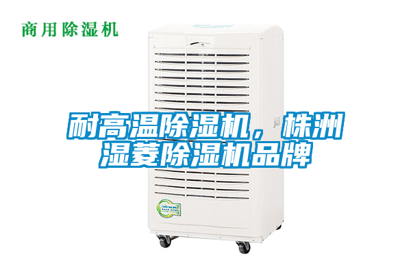 国产精品探花在线观看 耐高温除湿机，株洲湿菱除湿机品牌