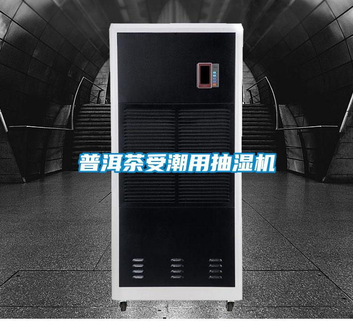国产精品欧美激情视频 普洱茶受潮用抽湿机