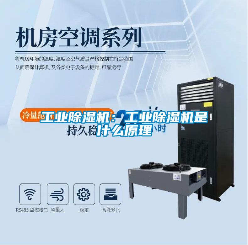 国产精品欧美激情视频 工业除湿机：工业除湿机是什么原理