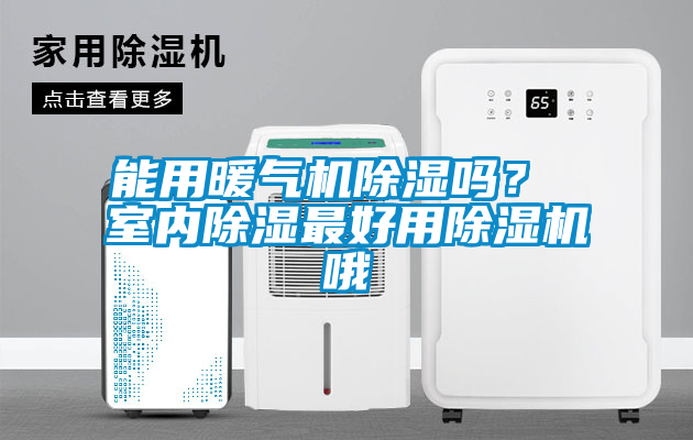 国产精品探花在线观看 能用暖气机除湿吗？ 室内除湿最好用除湿机哦