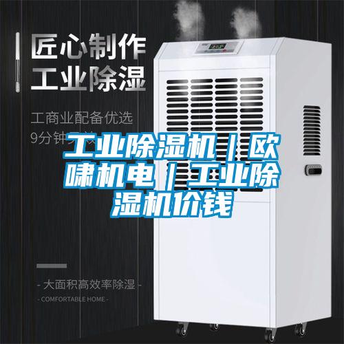 国产精品欧美激情视频 工业除湿机｜欧啸机电｜工业除湿机价钱