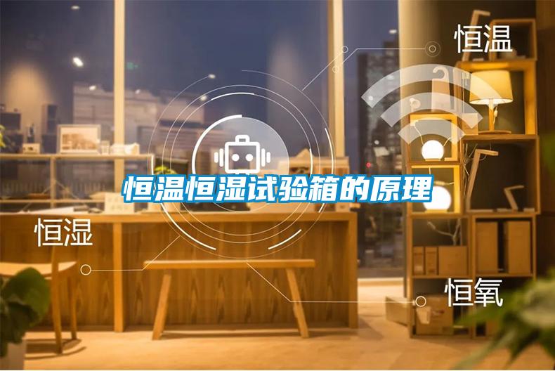 国产精品欧美激情视频 恒温恒湿试验箱的原理