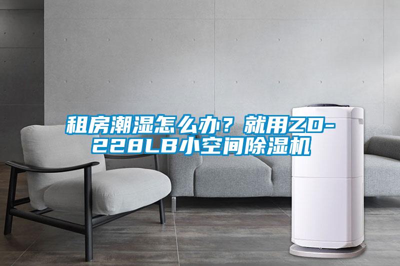 国产精品欧美激情视频 租房潮湿怎么办？就用ZD-228LB小空间除湿机