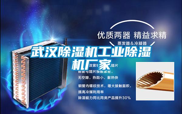 国产精品三级在线观看 武汉除湿机工业除湿机厂家