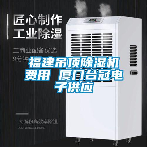 国产精品三级在线观看 福建吊顶除湿机费用 厦门台冠电子供应