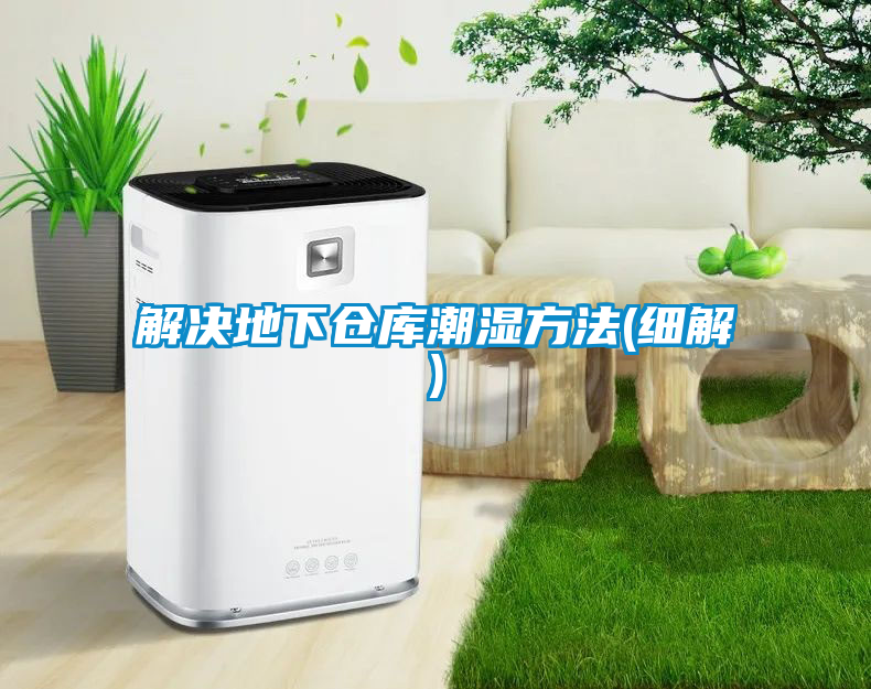 国产精品三级在线观看 解决地下仓库潮湿方法(细解)