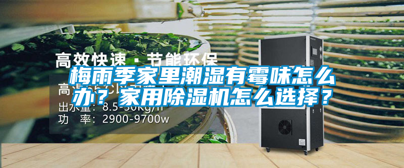 国产精品欧美激情视频 梅雨季家里潮湿有霉味怎么办？家用除湿机怎么选择？