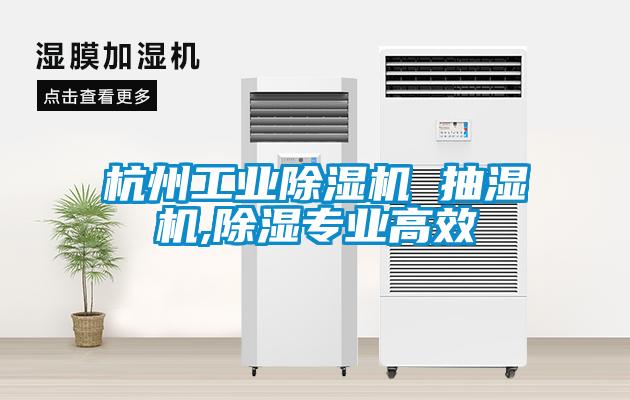 国产精品欧美激情视频 杭州工业除湿机 抽湿机,除湿专业高效