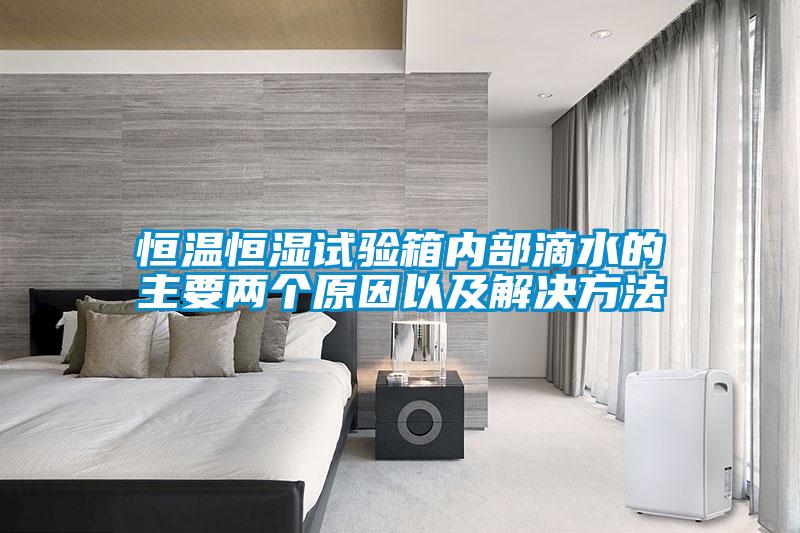 国产精品三级在线观看 恒温恒湿试验箱内部滴水的主要两个原因以及解决方法