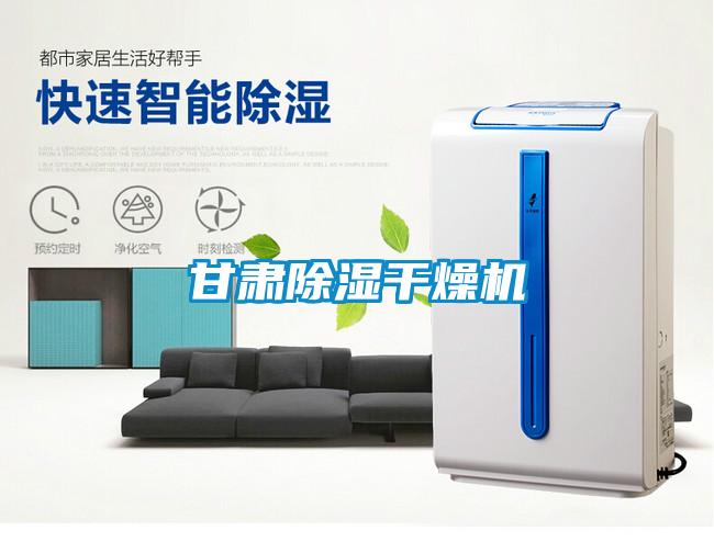 国产精品欧美激情视频 甘肃除湿干燥机