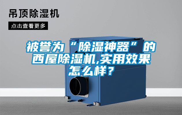 国产精品欧美激情视频 被誉为“除湿神器”的西屋除湿机,实用效果怎么样？