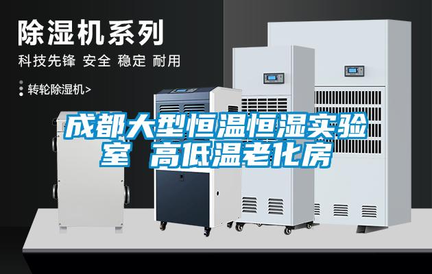 国产精品欧美激情视频 成都大型恒温恒湿实验室 高低温老化房