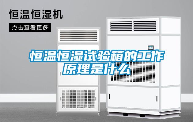 国产精品欧美激情视频 恒温恒湿试验箱的工作原理是什么