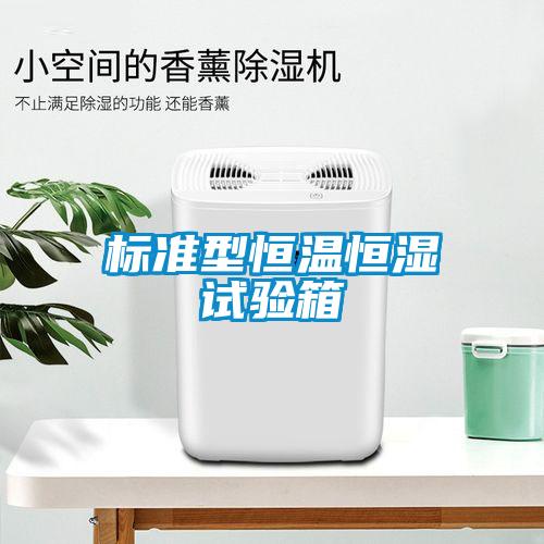国产精品三级在线观看 标准型恒温恒湿试验箱