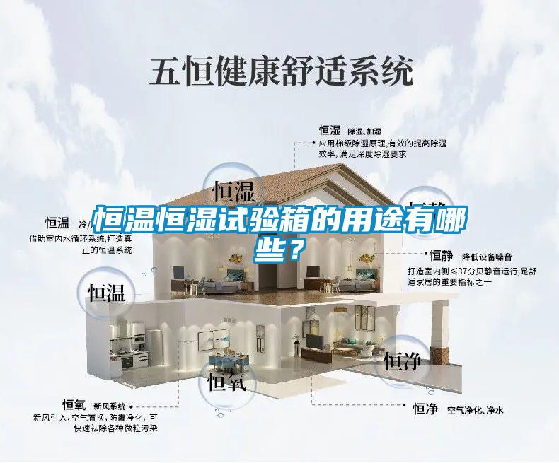 国产精品三级在线观看 恒温恒湿试验箱的用途有哪些？