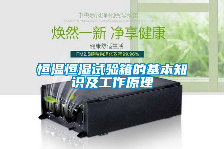 国产精品三级在线观看 恒温恒湿试验箱的基本知识及工作原理