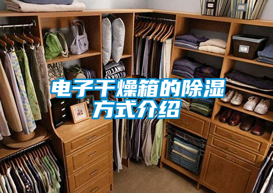 国产精品三级在线观看 电子干燥箱的除湿方式介绍