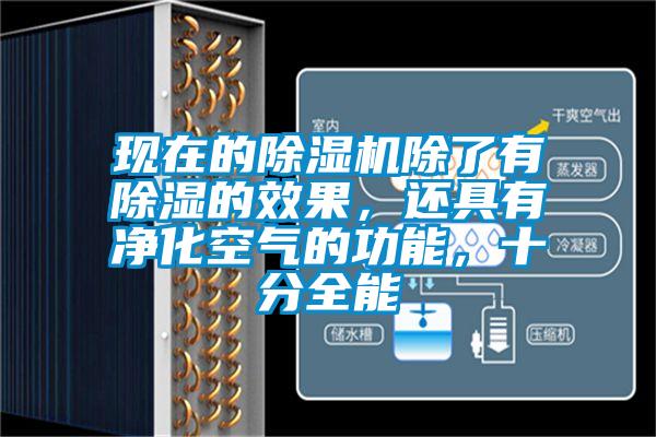 国产精品三级在线观看 现在的除湿机除了有除湿的效果，还具有净化空气的功能，十分全能