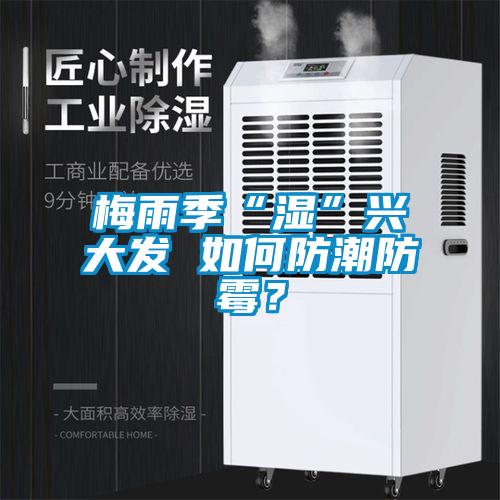 国产精品三级在线观看 梅雨季“湿”兴大发 如何防潮防霉？