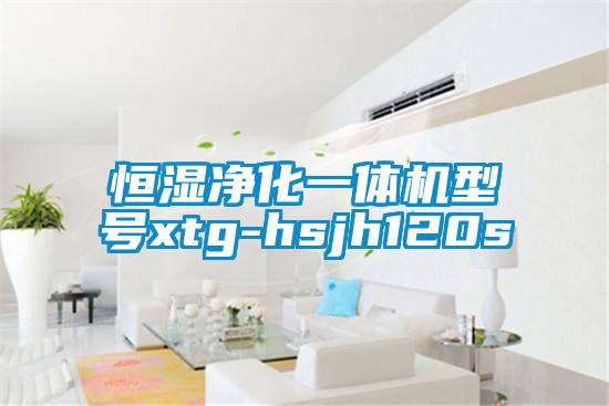 国产精品欧美激情视频 恒湿净化一体机型号xtg-hsjh120s