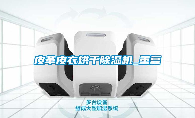 国产精品探花在线观看 皮革皮衣烘干除湿机_重复