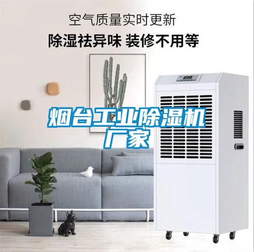 国产精品欧美激情视频 烟台工业除湿机厂家